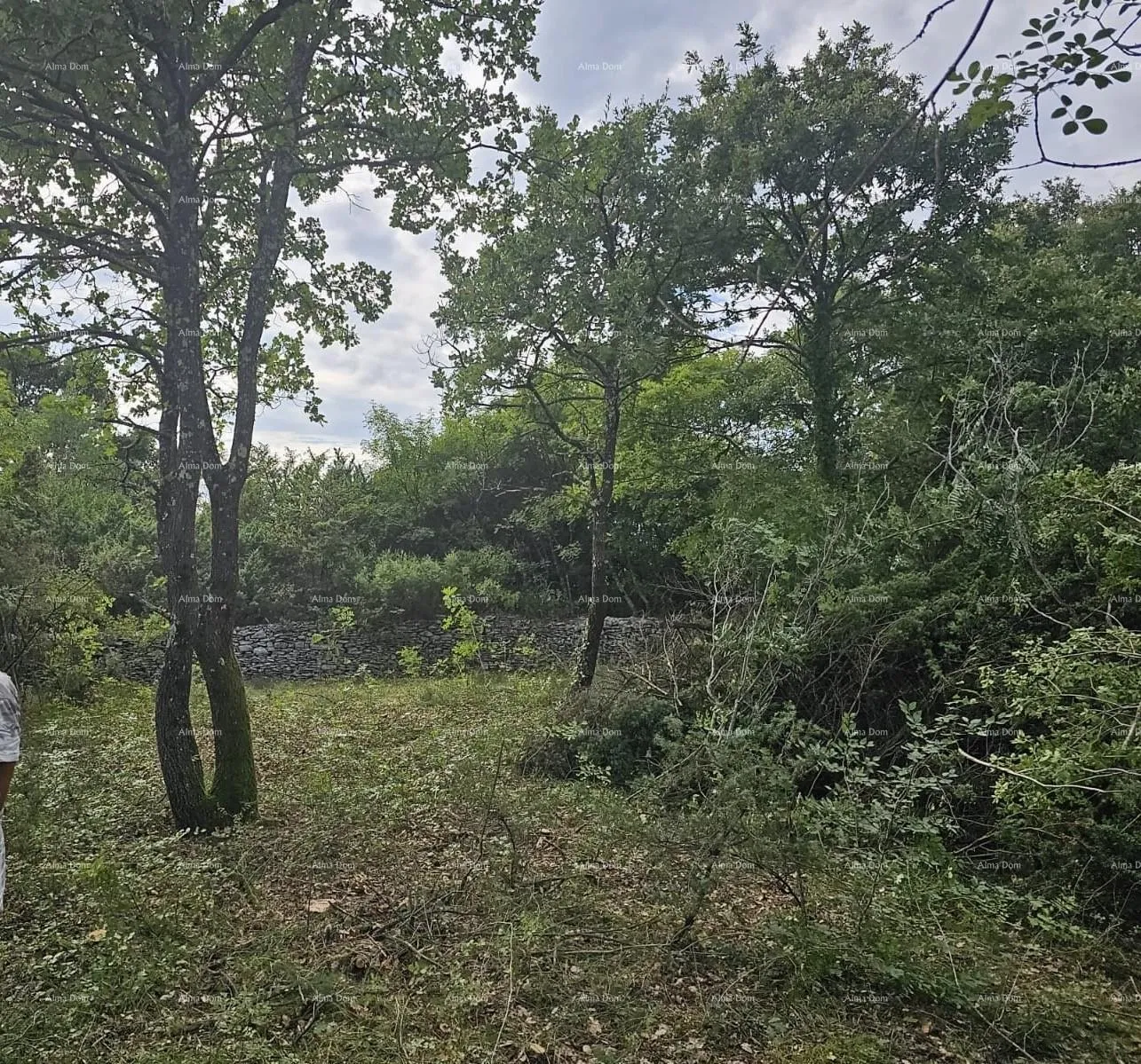 građevinsko zemljište građevinsko i poljoprivredno zemljište u blizini svetvinčenata: 11100 m² za vašu investiciju - slika 3
