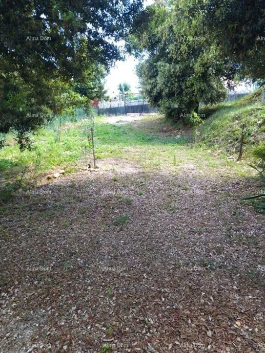 kuća kavran | samostojeća kuća s velikom okućnicom - slika 3