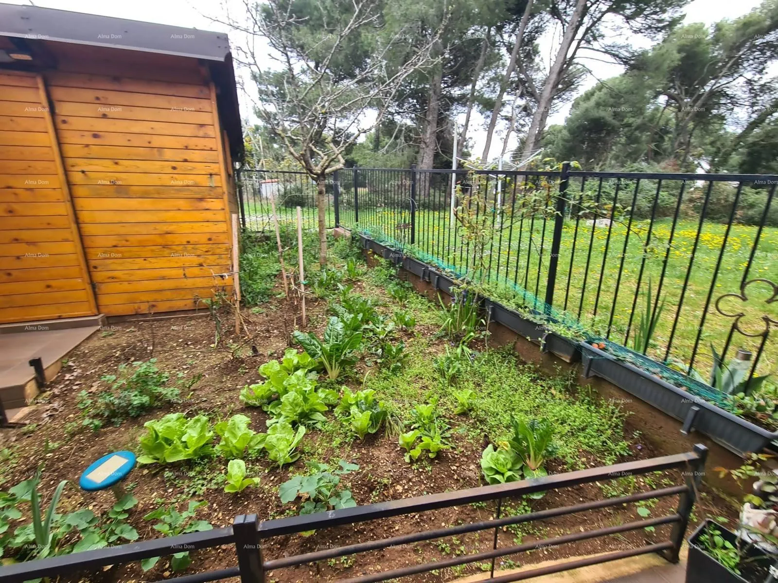 kuća kuća sa tri apartmana, medulin - slika 33