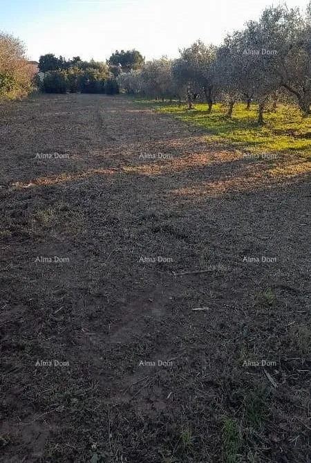 građevinsko zemljište premantura – građevinsko zemljište 1.793 m² - slika 2