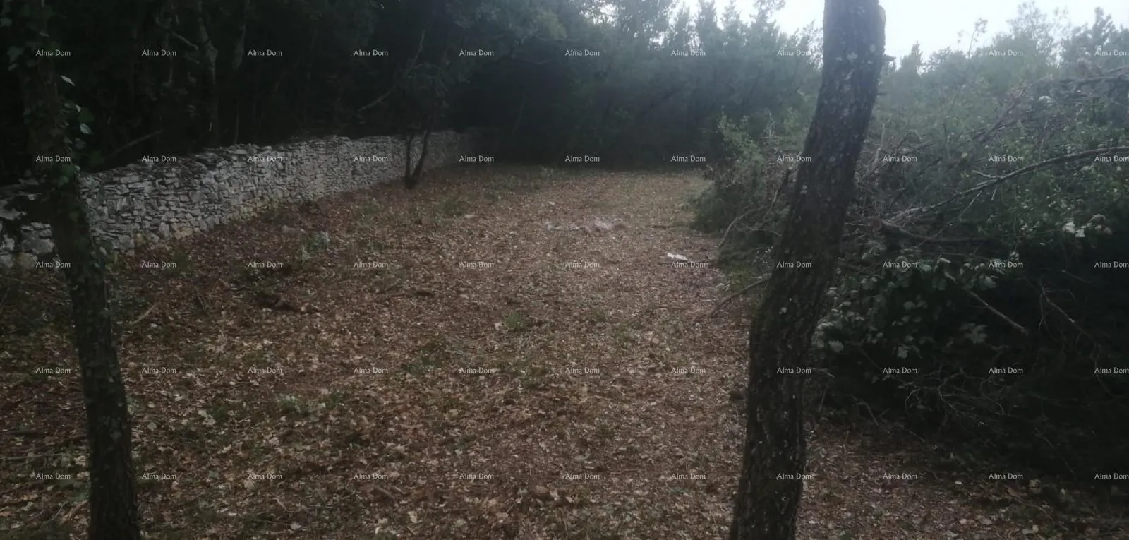 građevinsko zemljište građevinsko i poljoprivredno zemljište u blizini svetvinčenata: 11100 m² za vašu investiciju - slika 6