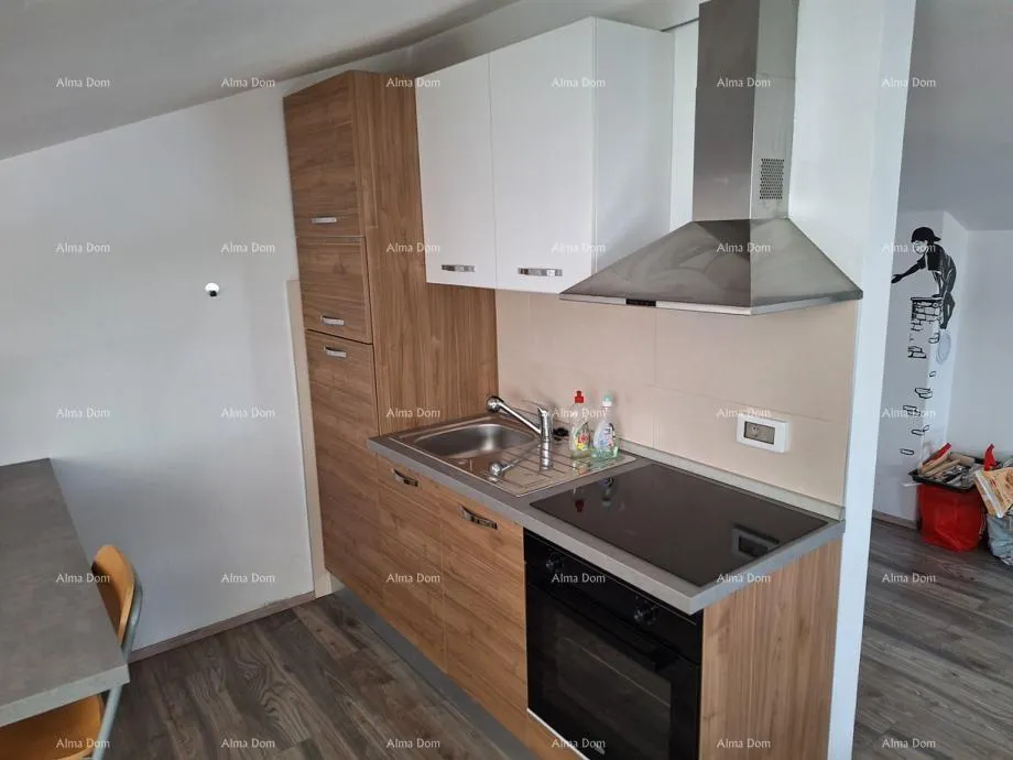 stan tar – vabriga, stan u potkrovlju, 84 m2 - slika 4