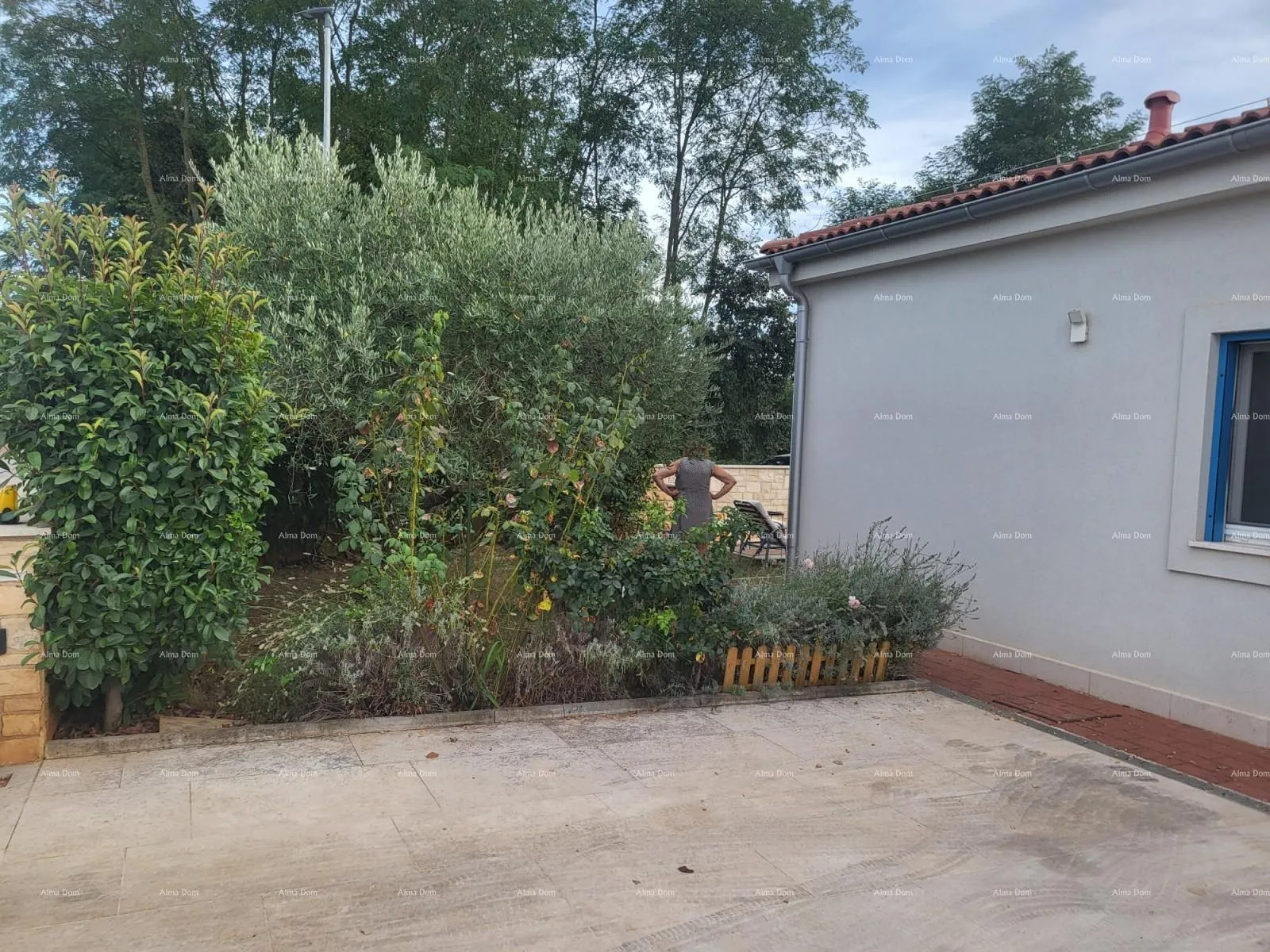 kuća novigrad, prizemnica s bazenom - slika 9