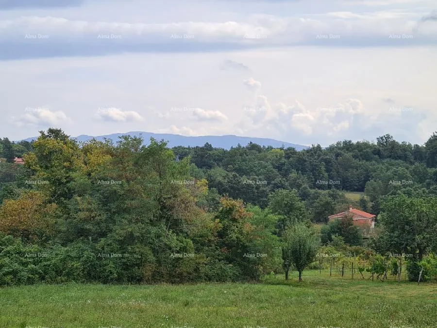 kuća stare ruševne kuće na velikom terenu od 6880 m2. - slika 2