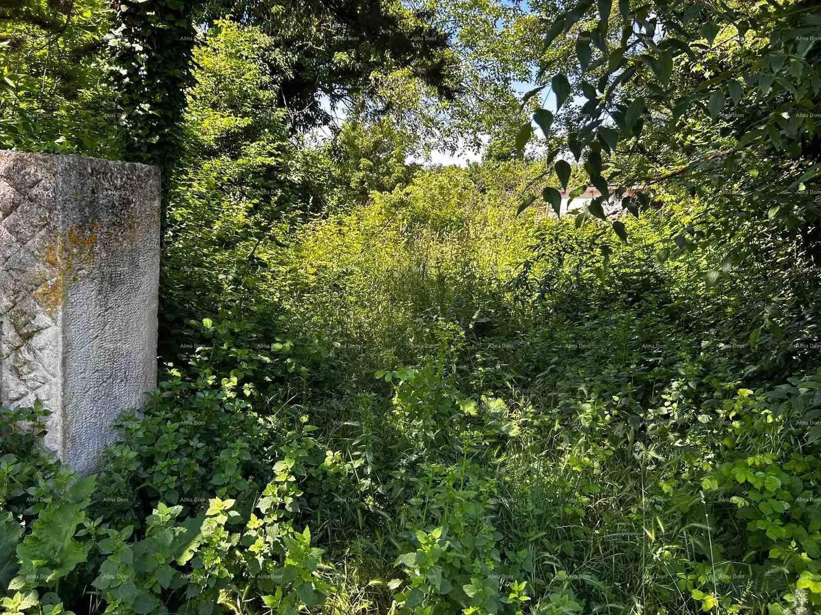 kuća prodaja kuće sa stajom i zemljištem u blizini barbana! - slika 8