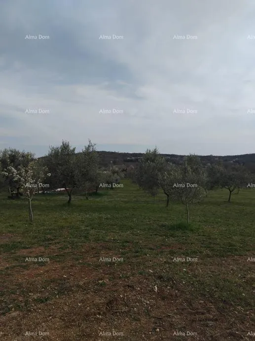 Građevinsko zemljište Atraktivno zemljište, 5.716 m²,okolica Poreča