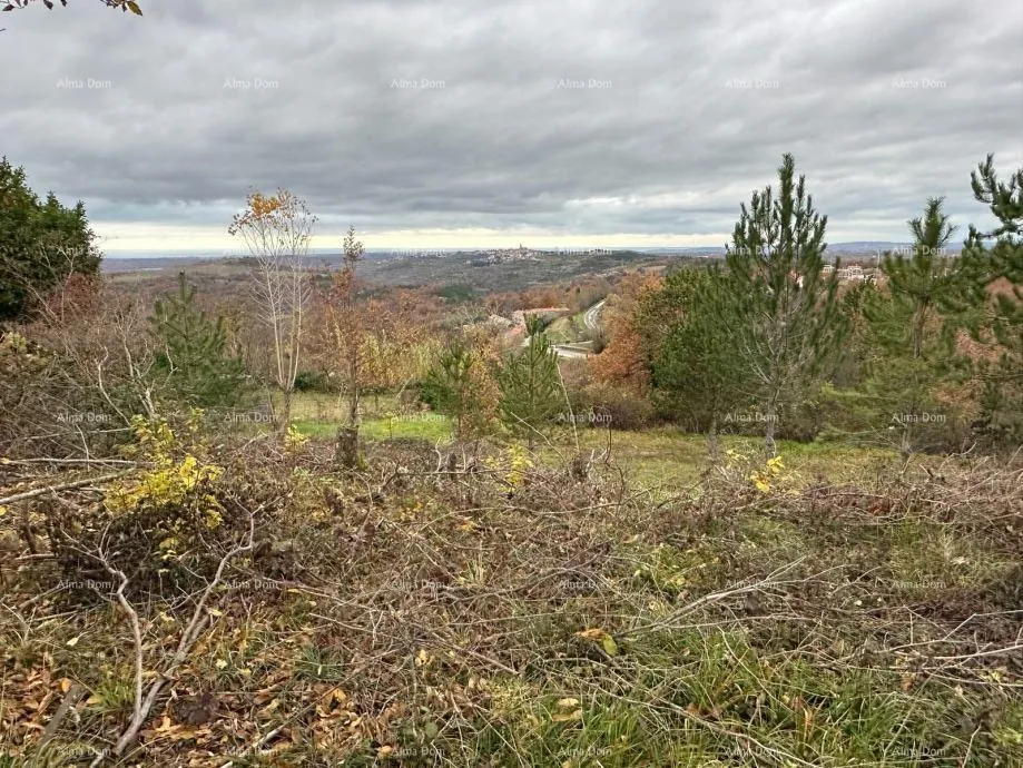 Građevinsko zemljište BUJE – GRAĐEVINSKO ZEMLJIŠTE 990 m²