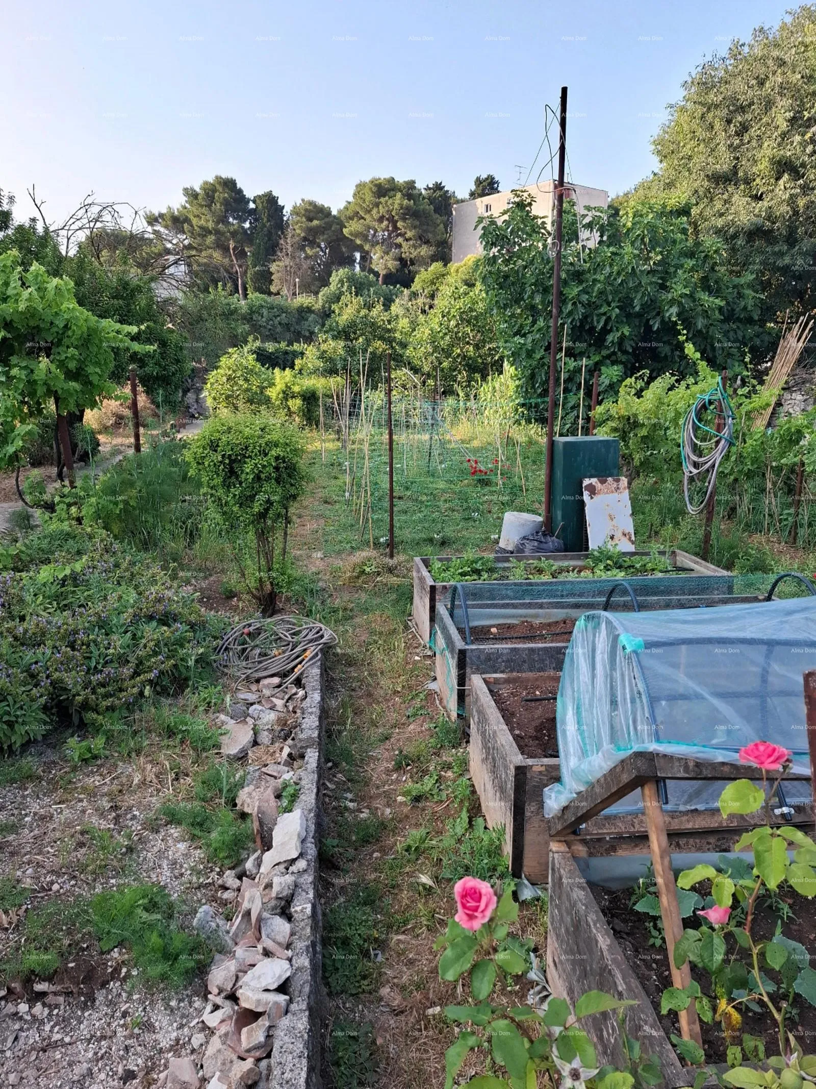 stan prostran trosobni stan površine 81 m², neposredna blizina suda, pula veruda - slika 21