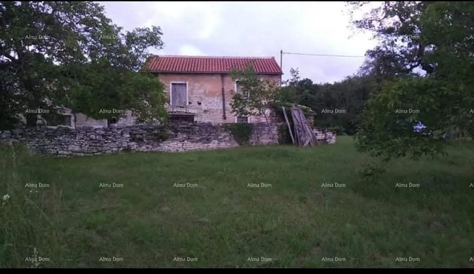 kuća prodaja istarske kamene kuće za kompletnu renovaciju na velikoj parceli od 4500 m2. oprtalj - slika 4