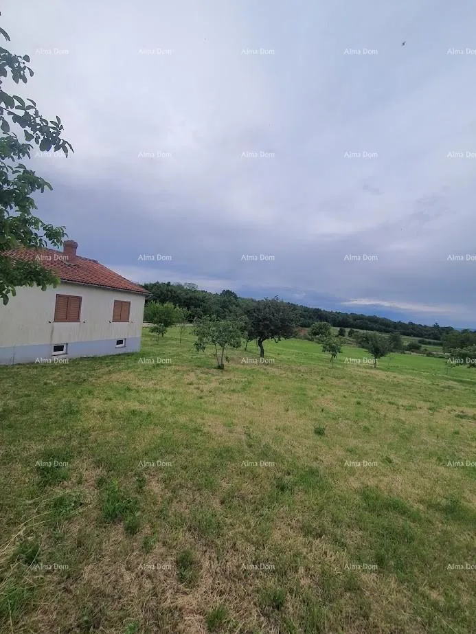 kuća obiteljska kuća s garažom, konobom i mogućnošću kupnje dodatnog zemljišta – 30 min od pule - slika 4