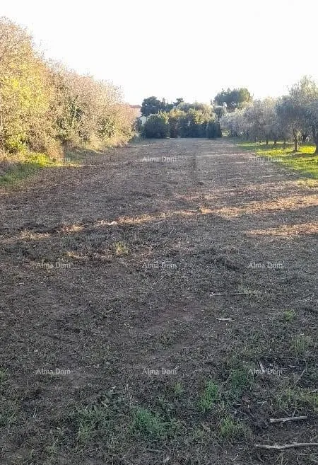 građevinsko zemljište premantura – građevinsko zemljište 1.793 m² - slika 3