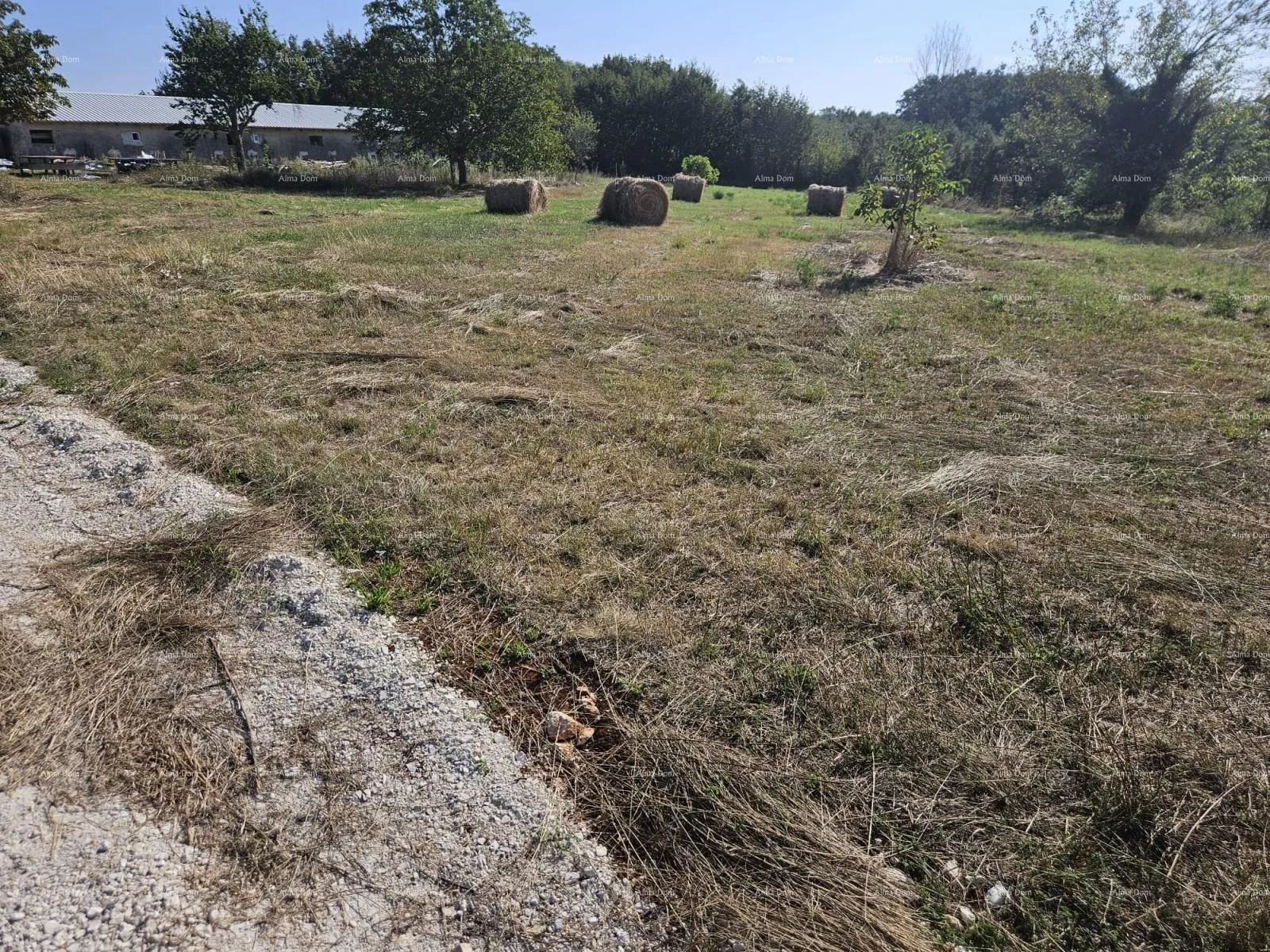 građevinsko zemljište prodaja građevinskog zemljišta, žminj - slika 6