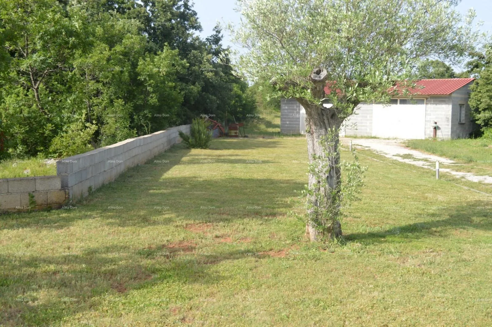 kuća blizina marčane, kuća na velikom terenu od 26.000 m2. - slika 12