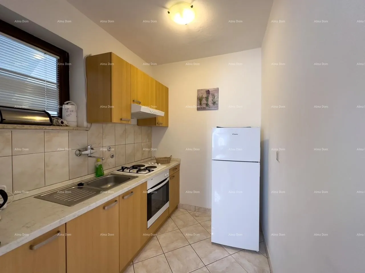kuća prodajemo kuću sa sedam apartmana na velikoj okućnici sa bazenom i garažom. banjole - slika 22