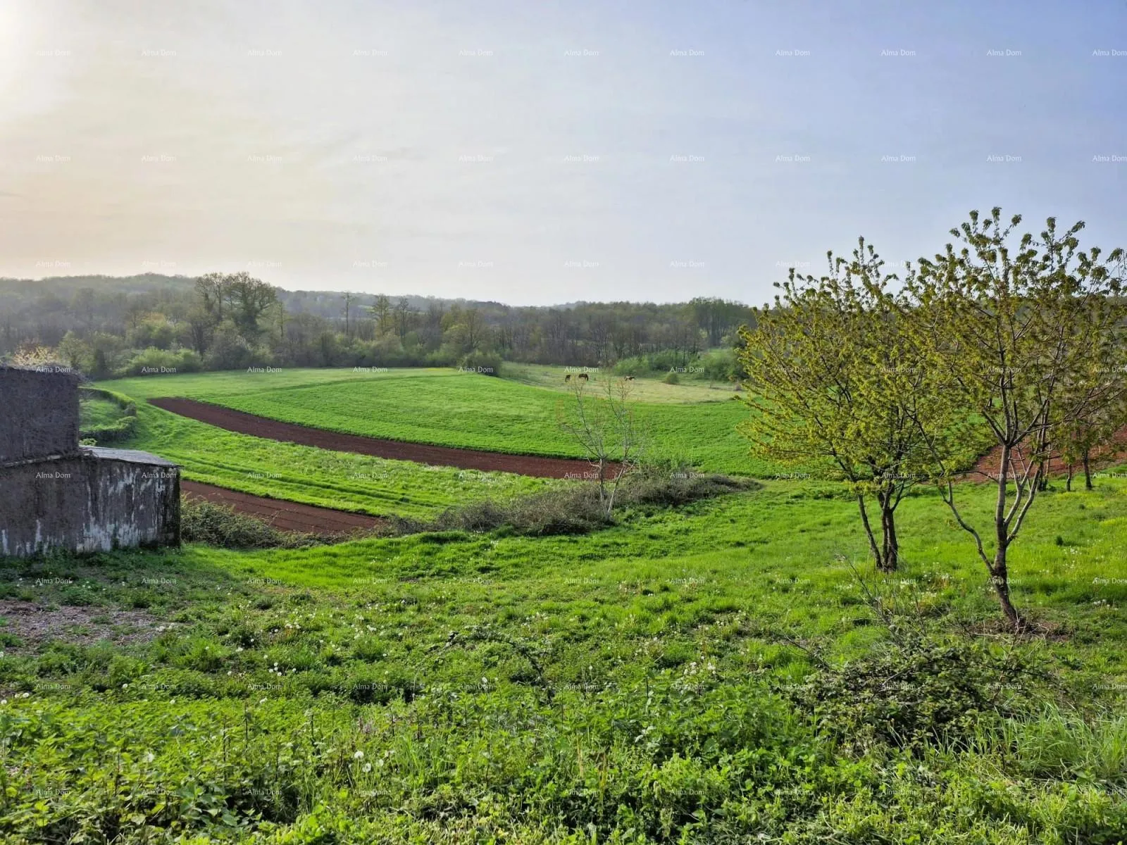 građevinsko zemljište građevinsko zemljište 1.730 m² – barban - slika 3