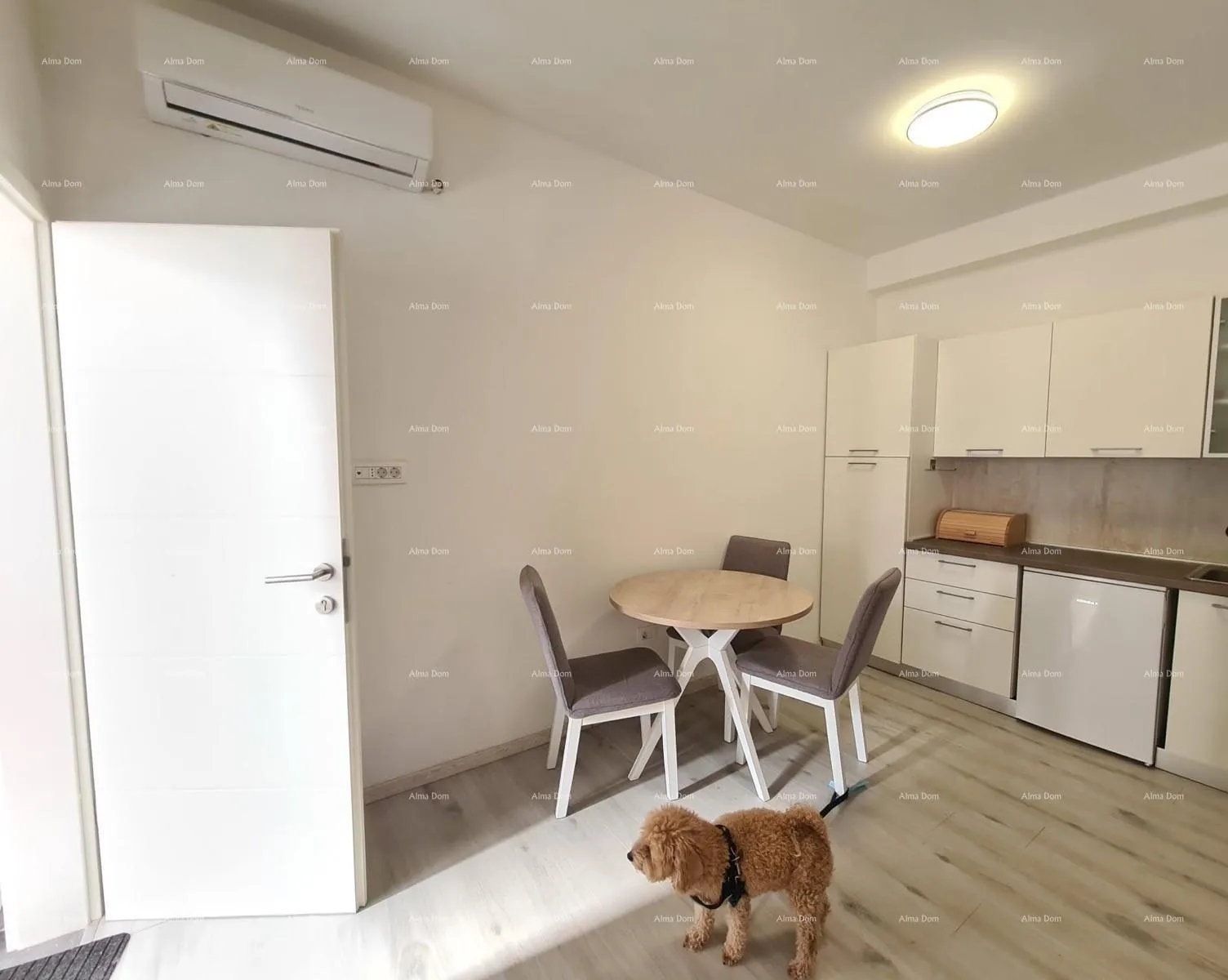 stan prodaje se nekretnina s dva apartmana – pula - slika 3