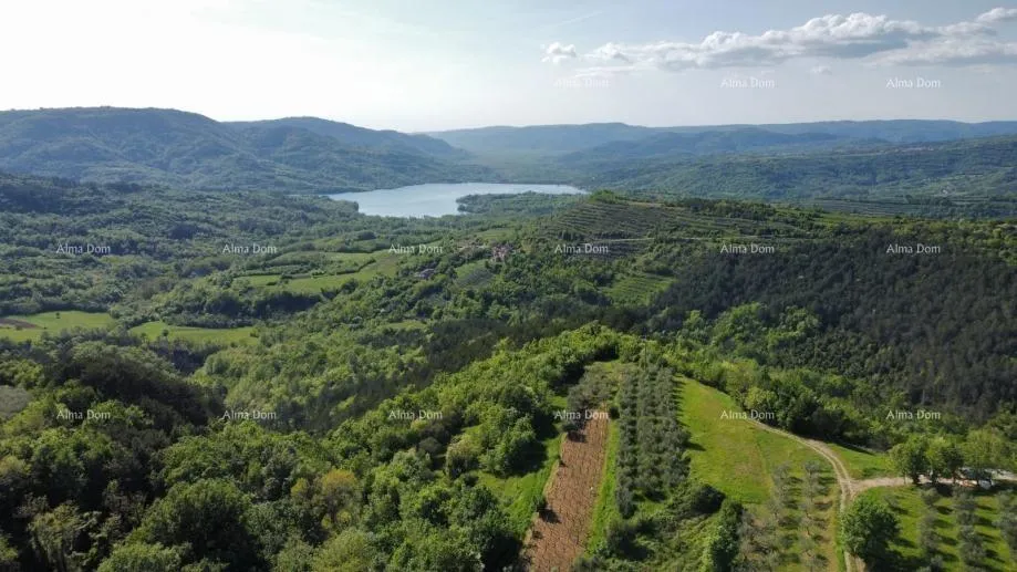 Građevinsko zemljište GRIMALDA – atraktivno građevinsko zemljište s pogledom na prirodu, 1162 m2 - Cerovlje