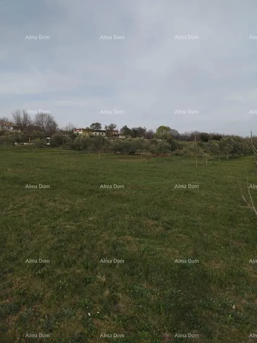 građevinsko zemljište atraktivno zemljište, 5.716 m²,okolica poreča - slika 4
