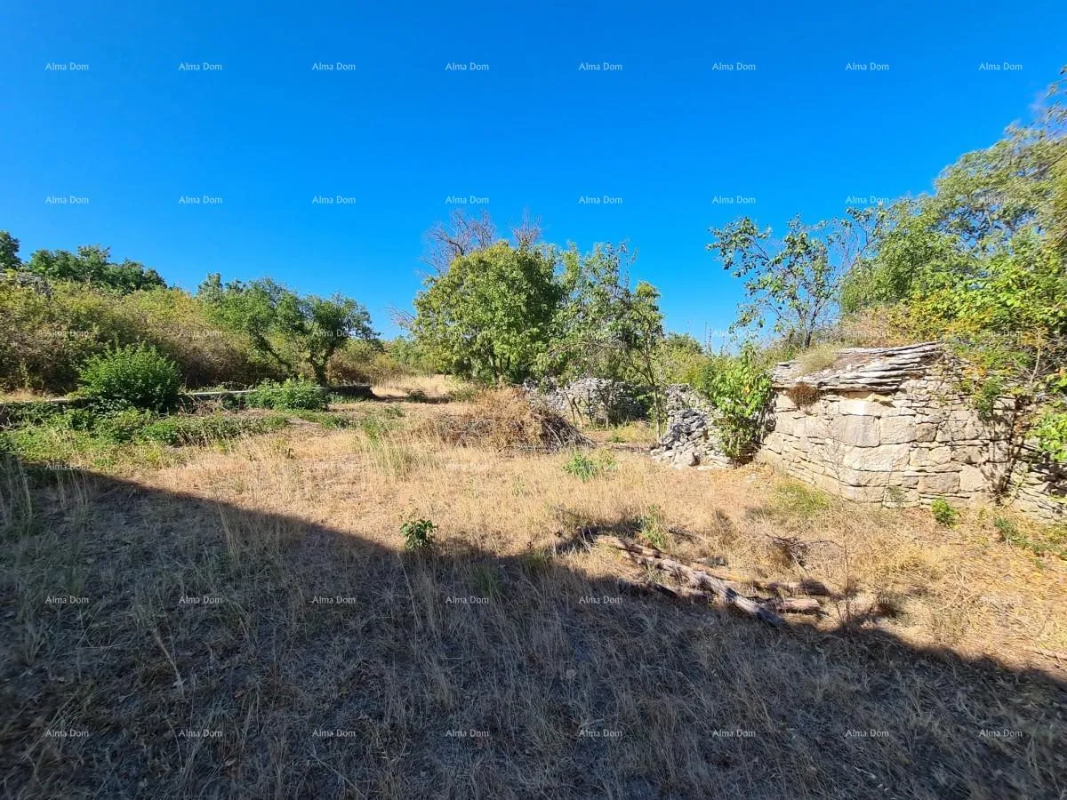 kuća stancija kod vodnjana! veliki teren 6390 m2!! - slika 8