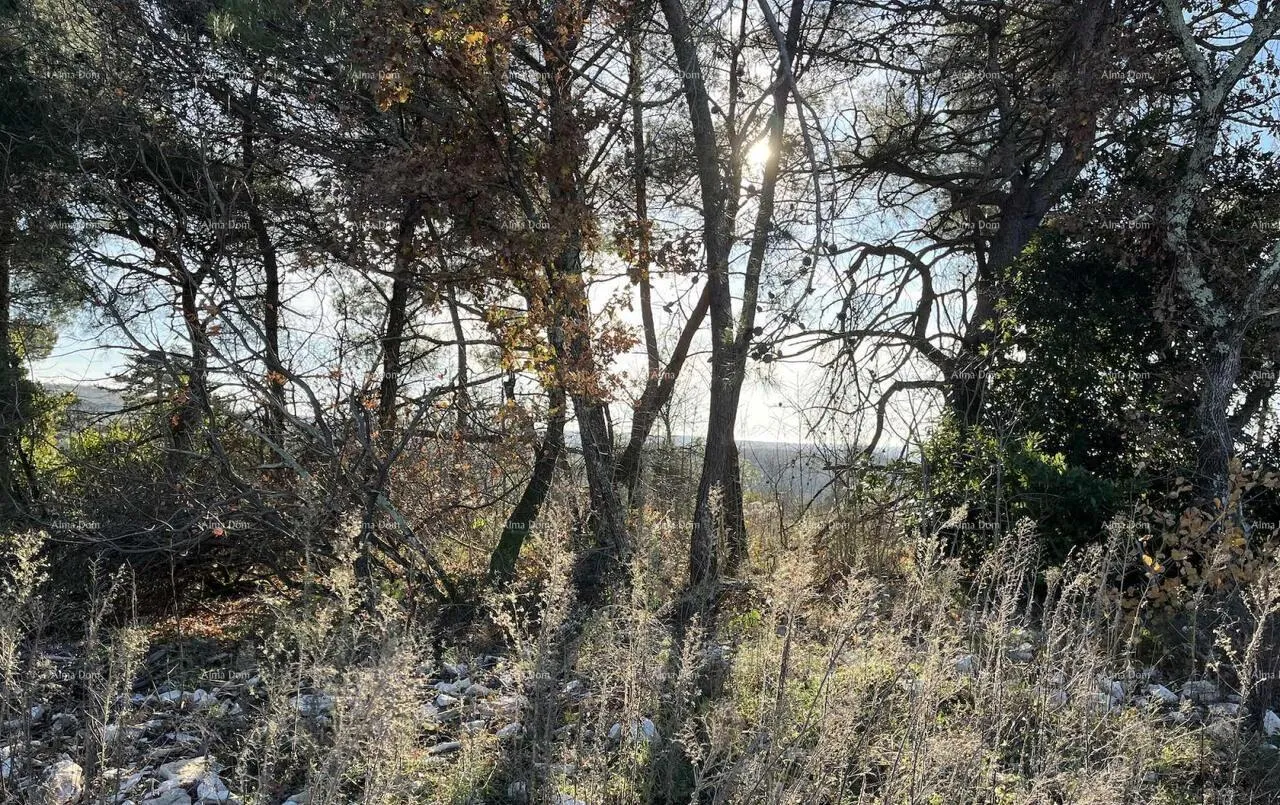 građevinsko zemljište jurcanija, buje. građevinsko zemljište s panoramskim pogledom - slika 3