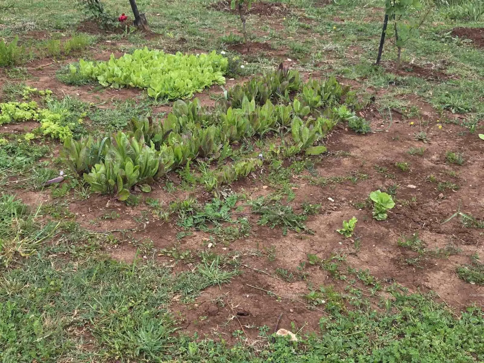 građevinsko zemljište prodaja zemljišta s građevinskom dozvolom i projektom, okolica vodnjana! - slika 22