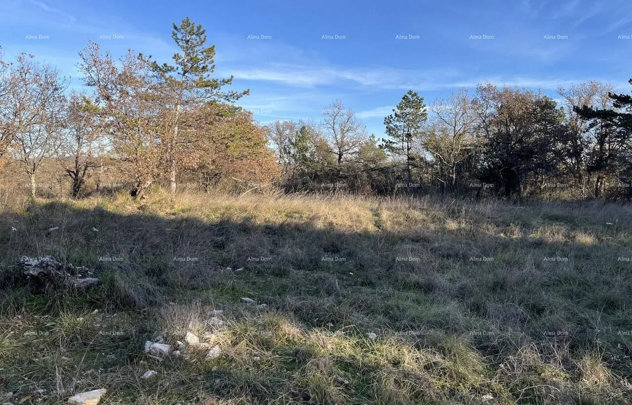 građevinsko zemljište jurcanija, buje. građevinsko zemljište s panoramskim pogledom - slika 4