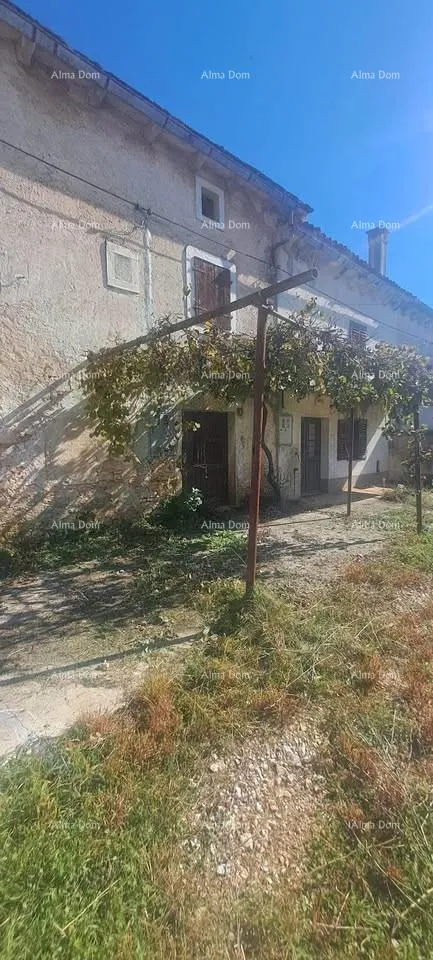 kamena kuća prodaja dvije kamene kuće s garažom za renovaciju - okolica žminja! - slika 3