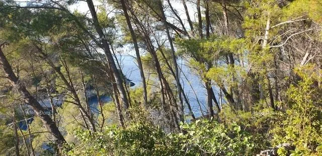 građevinsko zemljište prodaja građevinskog zemljišta, korčula - slika 6