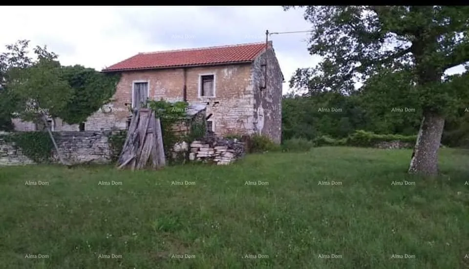 Kamena kuća Prodaja istarske kamene kuće za kompletnu renovaciju na velikoj parceli od 4500 M2. Oprtalj