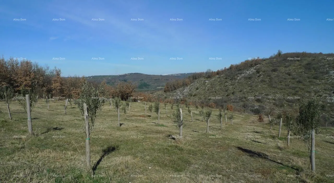 građevinsko zemljište momjan – prodaja građevinskog zemljišta na odličnoj lokaciji. - slika 4