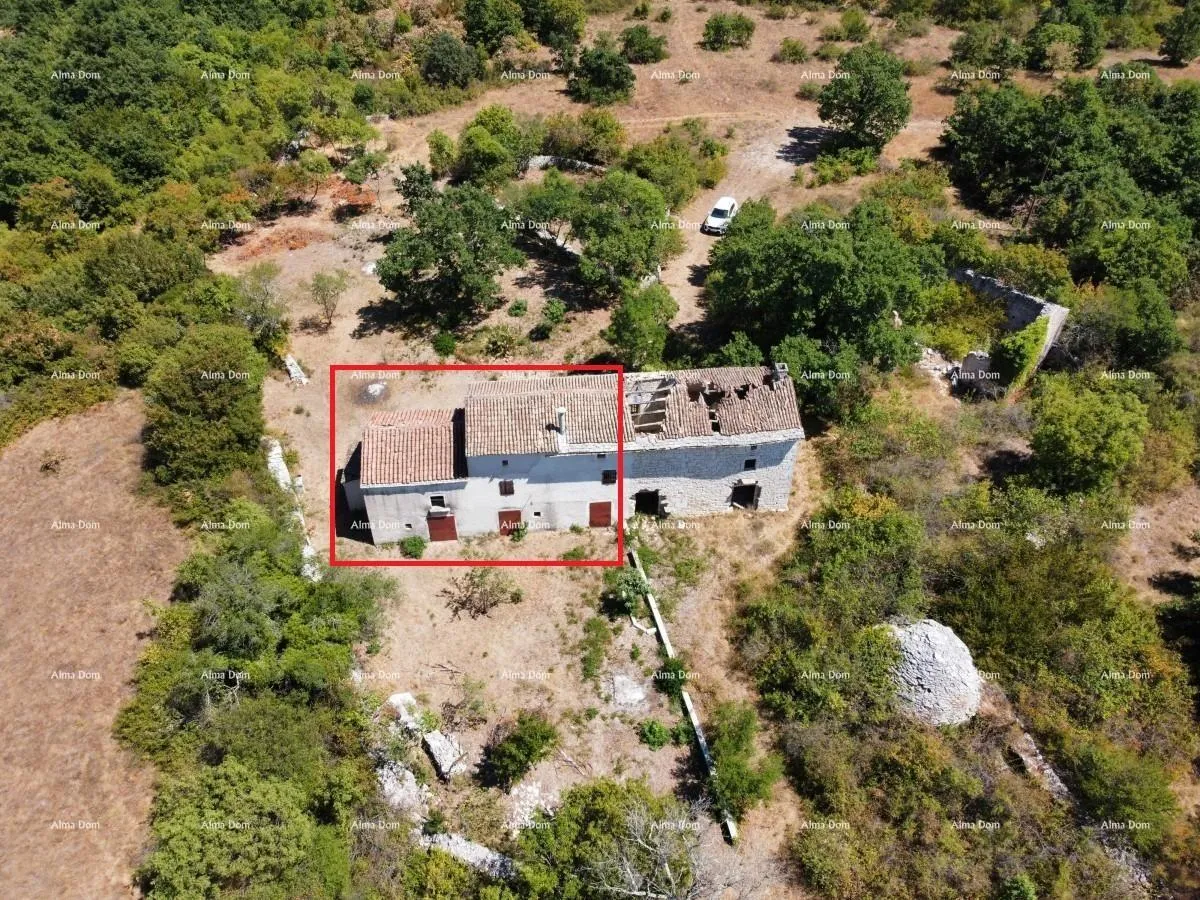 kuća stancija kod vodnjana! veliki teren 6390 m2!! - slika 2