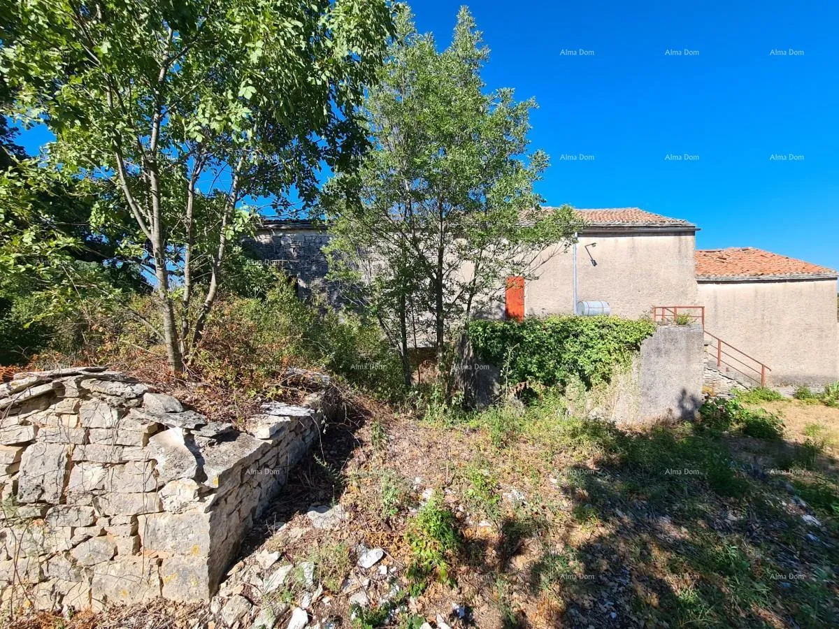 kuća stancija kod vodnjana! veliki teren 6390 m2!! - slika 3