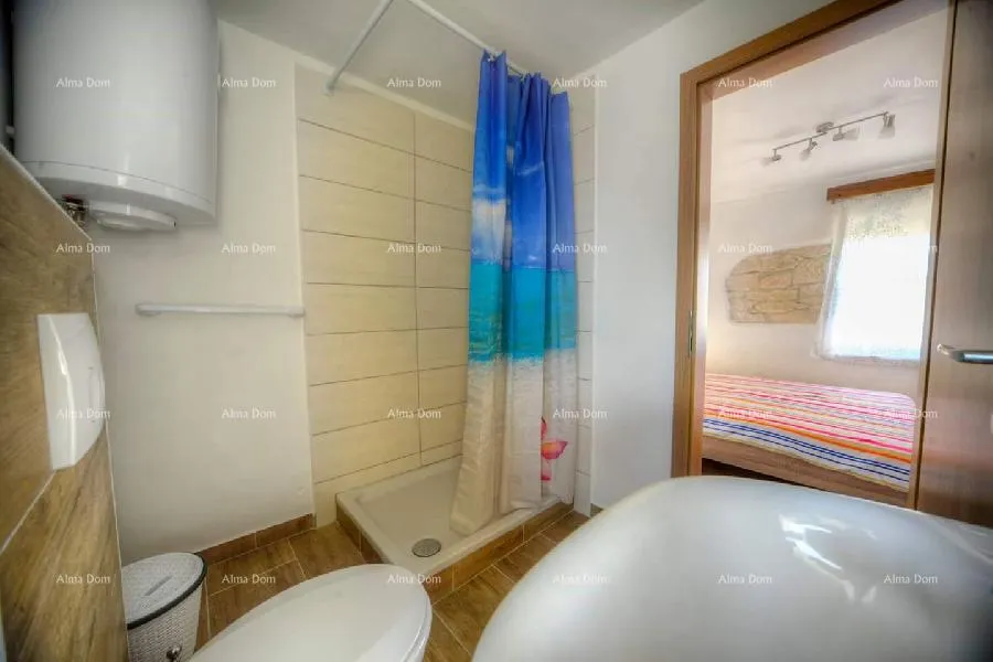 kuća ližnjan,istarska renovirana kuća! - slika 25