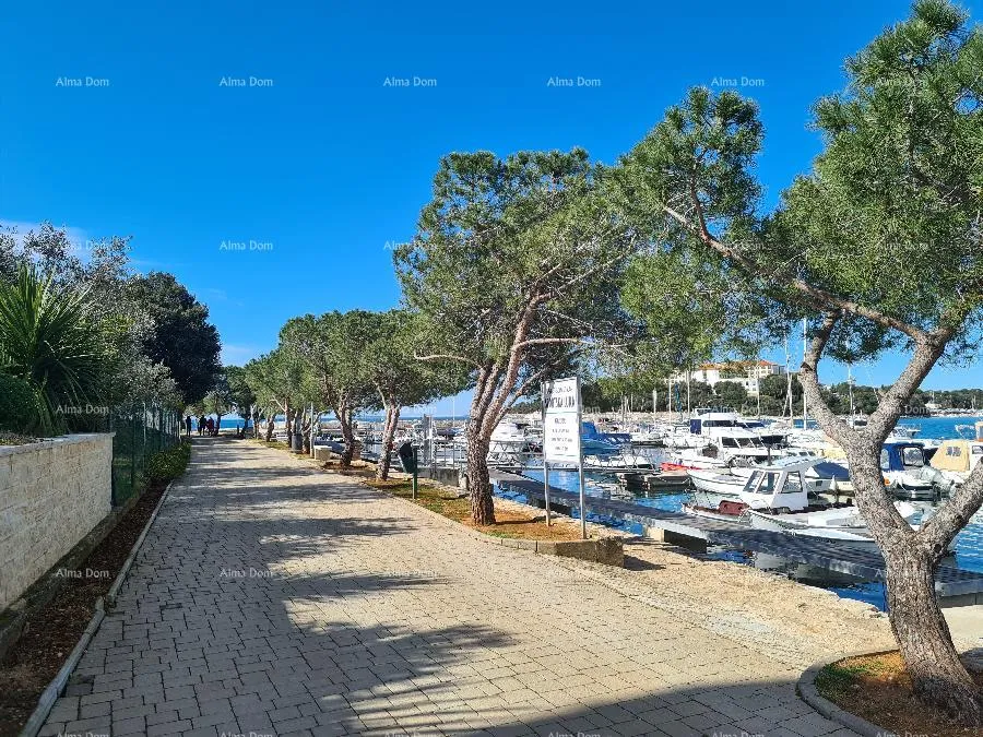 kuća prvi red do mora i plaže – kuća s bazenom i velikom okućnicom, pješčana uvala! - slika 4
