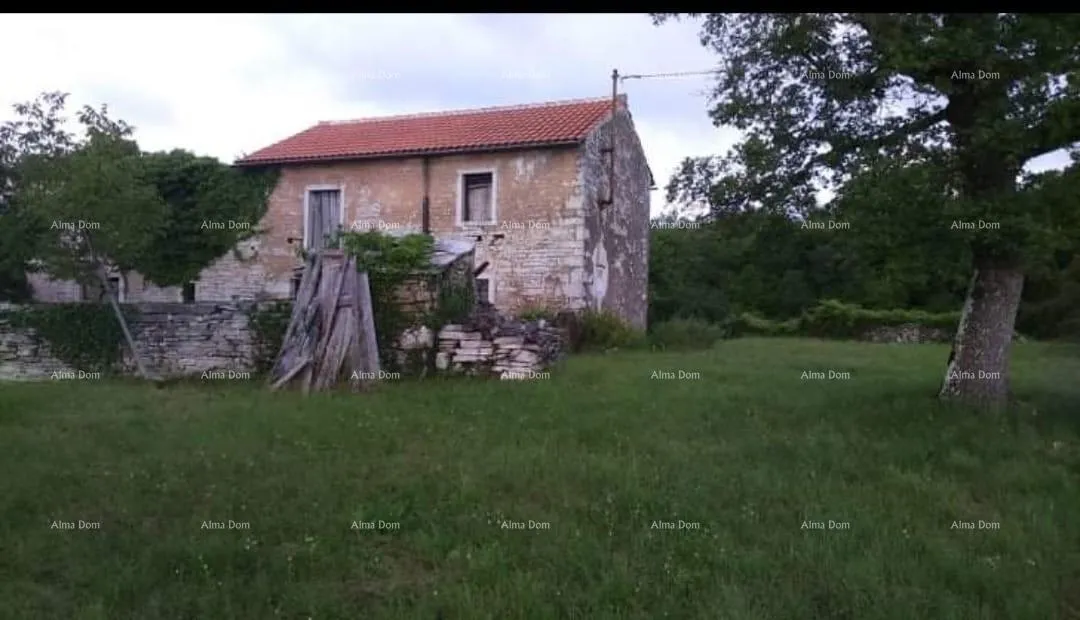 kuća prodaja istarske kamene kuće za kompletnu renovaciju na velikoj parceli od 4500 m2. oprtalj - slika 10