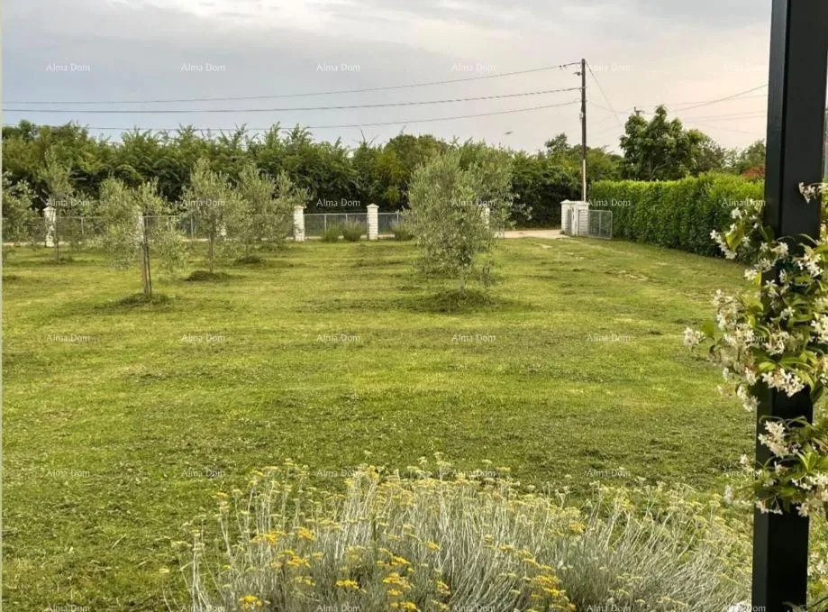 Građevinsko zemljište MARČANA! LOBORIKA - GRAĐEVINSKO ZEMLJIŠTE S MASLINIKOM