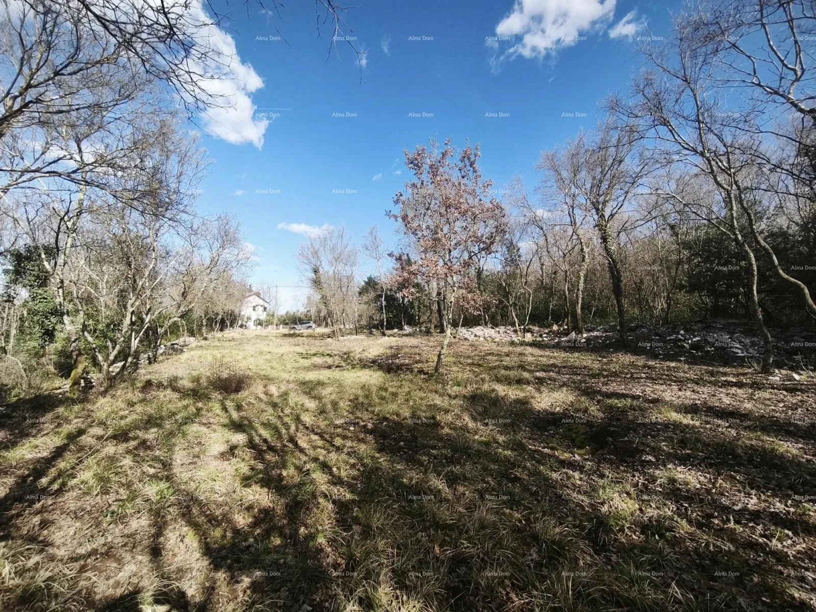 Građevinsko zemljište Buje – građevinsko zemljište 1.086 m² s pogledom na more