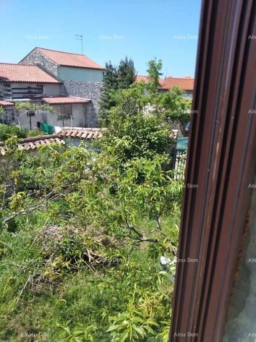 kuća brtonigla, samostojeća kuća s okućnicom – za renovaciju - slika 6