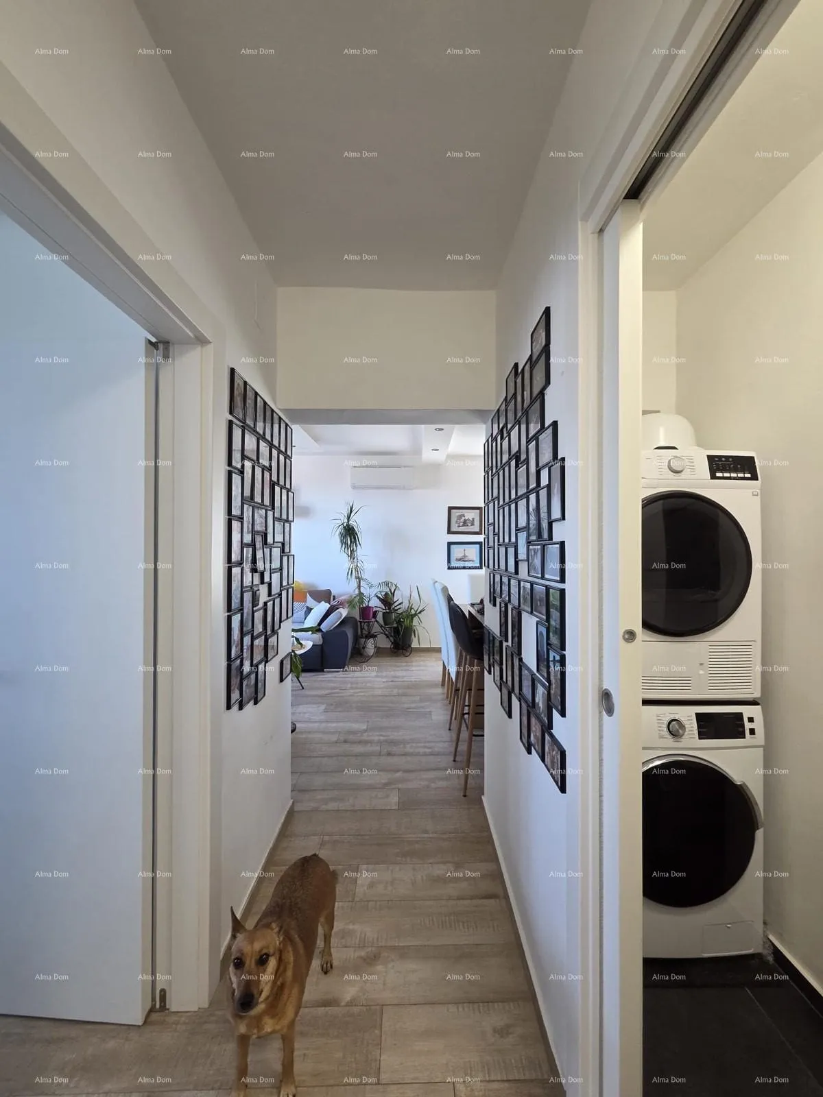 stan pula, vidikovac, renoviran stan 52 m² - slika 16