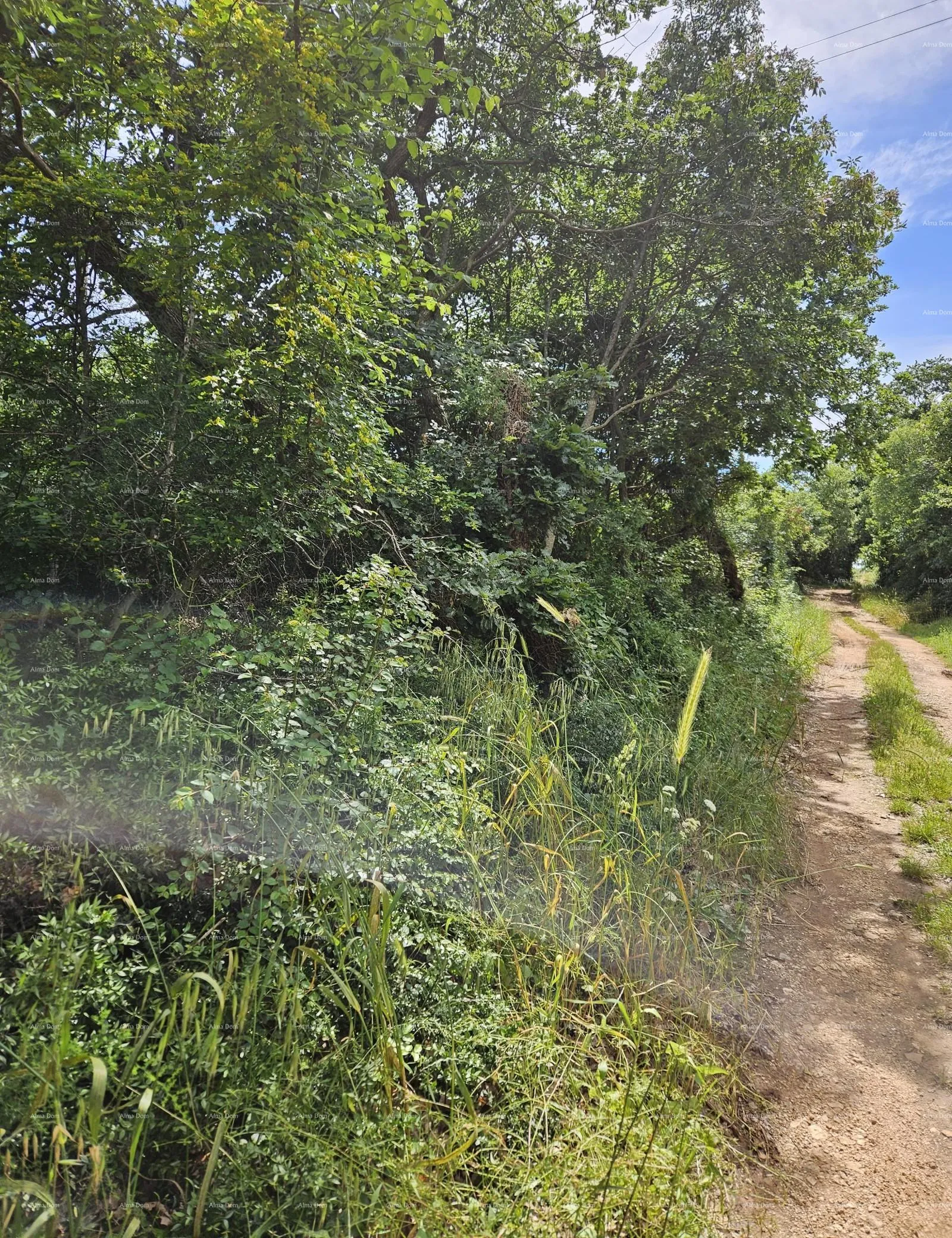 građevinsko zemljište prodaje se građevinsko zemljište, 1712m2, marčana! - slika 5