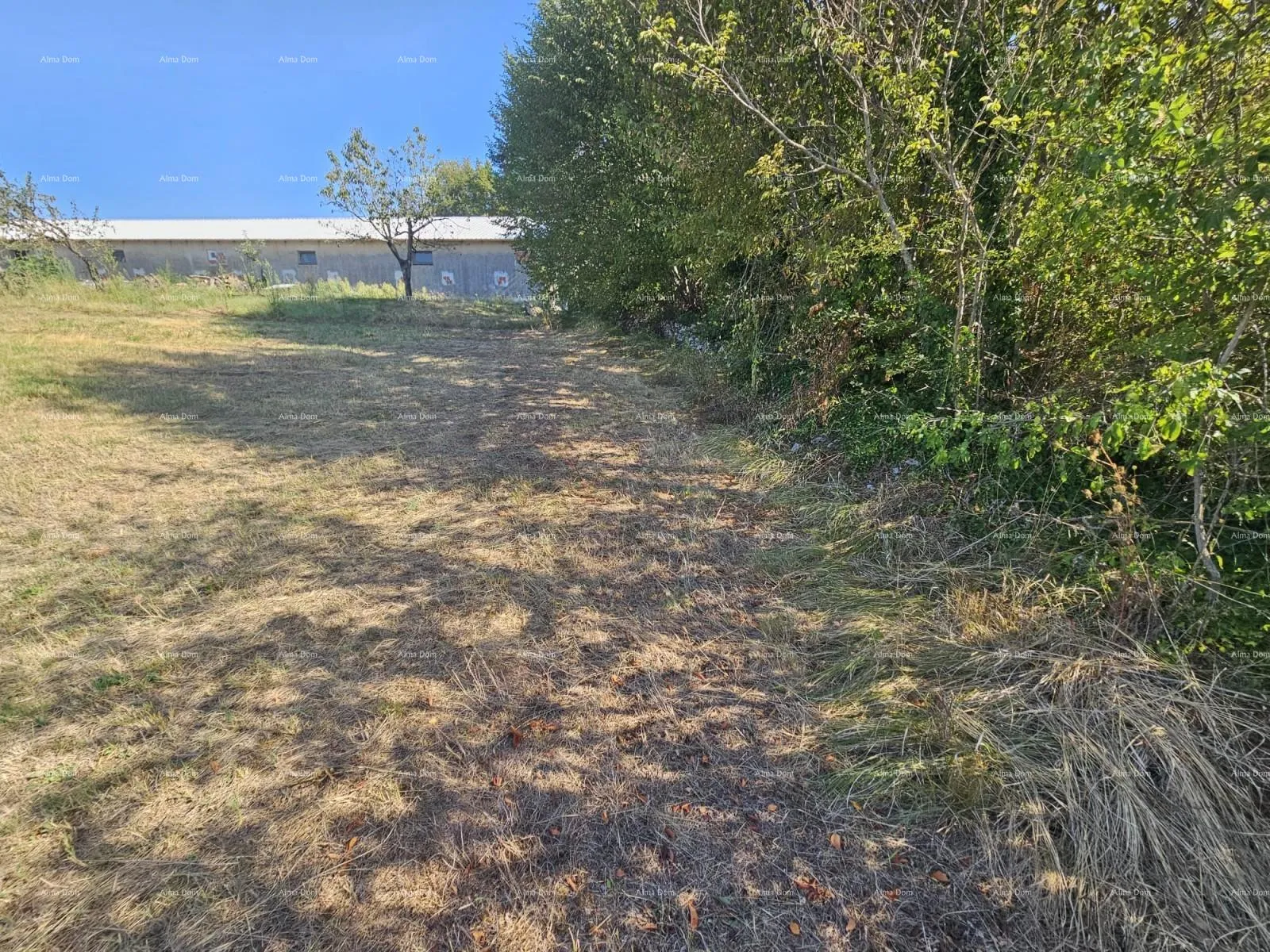 građevinsko zemljište prodaja građevinskog zemljišta, žminj - slika 4