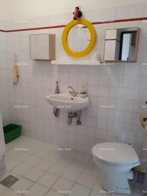 kuća prodajemo kamenu kuću u centru brtonigle! - slika 9