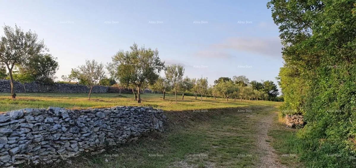 građevinsko zemljište građevinsko zemljište u filipani! - slika 2