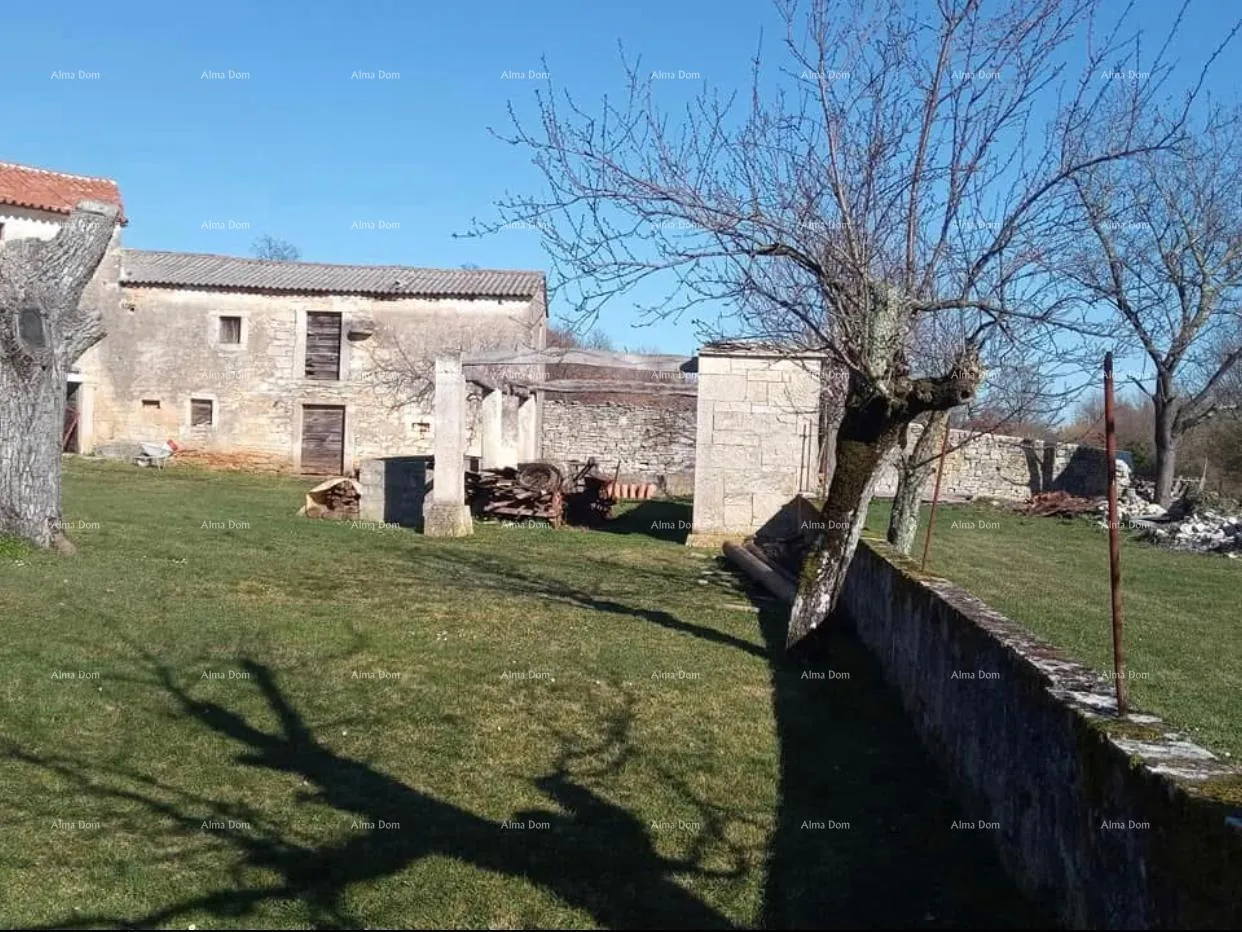 kuća pazin, istra - dvije stare kamene kuće s velikim zemljištem - slika 2