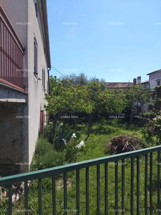 kuća brtonigla, samostojeća kuća s okućnicom – za renovaciju - slika 4