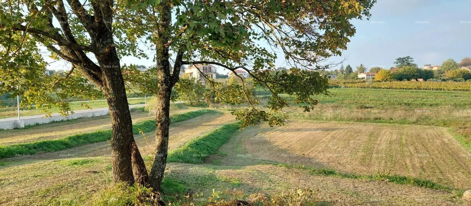 građevinsko zemljište građevinsko zemljište pazin - 3.153m2 - slika 3