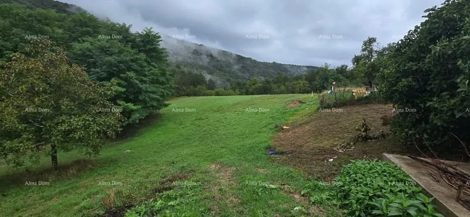 kuća veliko imanje s kućom i građevinskim zemljištem, okolica buzeta - slika 2