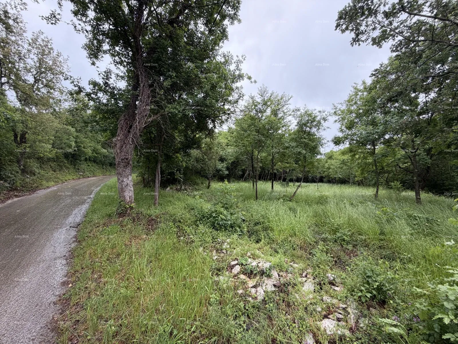 građevinsko zemljište buje – građevinsko zemljište 1.086 m² s pogledom na more - slika 4