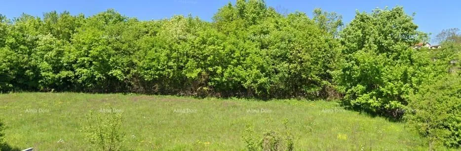 Građevinsko zemljište TINAJN - Građevinsko zemljište 4.168 m² - Tinjan