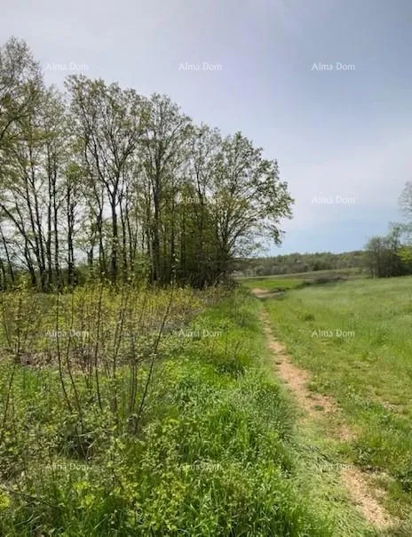 građevinsko zemljište prodaje se građevinsko zemljište s projektom – barban (1.010 m²) - slika 4